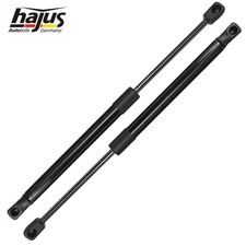 2x Hajus Gasfeder