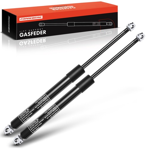 Gasfeder - 2x,
