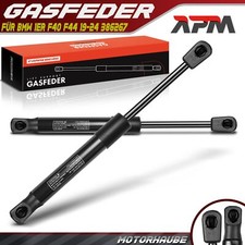 2x Gasfeder Dämpfer