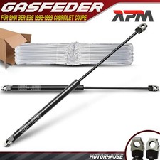 2x Gasfeder Dämpfer